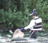 ���É��@���ނ�摜