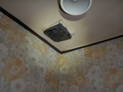 ���É��@�g�C�����C���ւ��H���摜