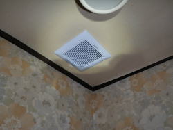 ���É��@�g�C�����C���ւ��H���摜