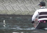 ���É��@���ނ�摜