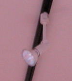 ���É��@�X�܏Ɩ��V���b�v���C����t�z���H���摜